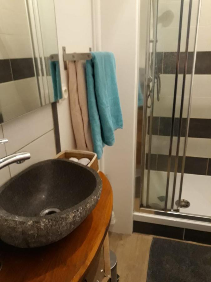Le Langevin - Appartement Troyes Centre Kültér fotó